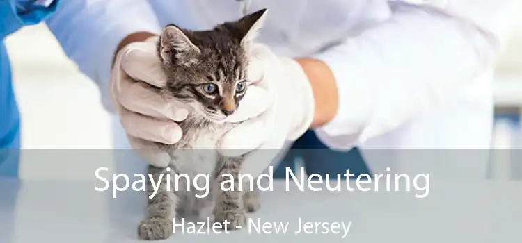 Spaying and Neutering Hazlet - New Jersey