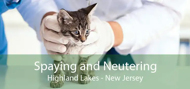 Spaying and Neutering Highland Lakes - New Jersey