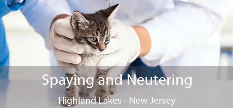 Spaying and Neutering Highland Lakes - New Jersey