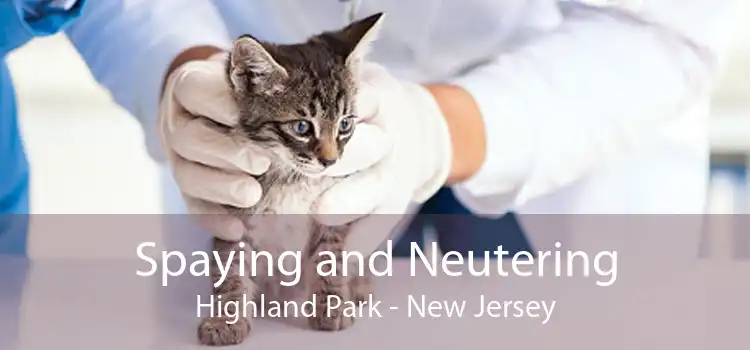 Spaying and Neutering Highland Park - New Jersey