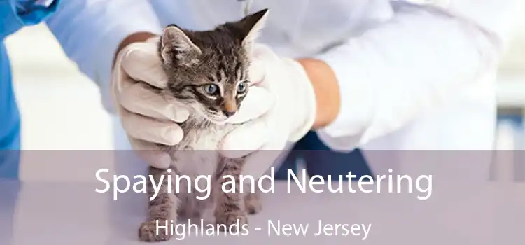 Spaying and Neutering Highlands - New Jersey