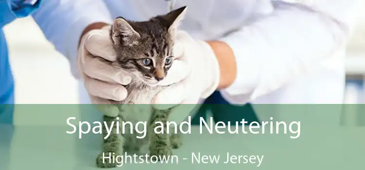Spaying and Neutering Hightstown - New Jersey