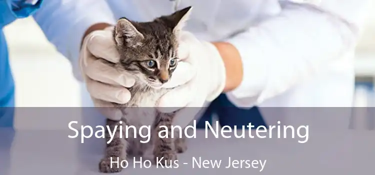 Spaying and Neutering Ho Ho Kus - New Jersey