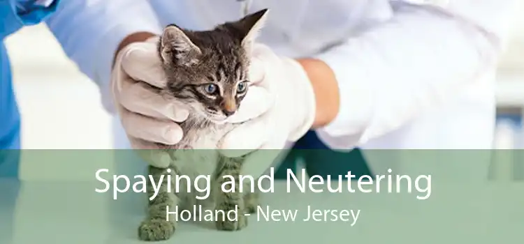 Spaying and Neutering Holland - New Jersey