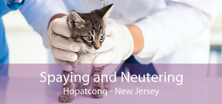 Spaying and Neutering Hopatcong - New Jersey