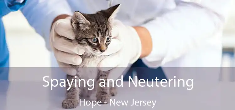 Spaying and Neutering Hope - New Jersey