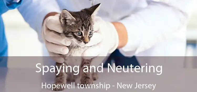 Spaying and Neutering Hopewell township - New Jersey