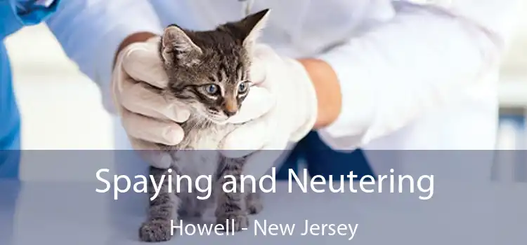 Spaying and Neutering Howell - New Jersey