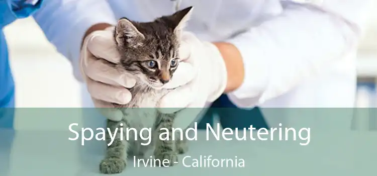 Spaying and Neutering Irvine - California