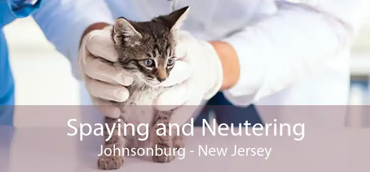 Spaying and Neutering Johnsonburg - New Jersey