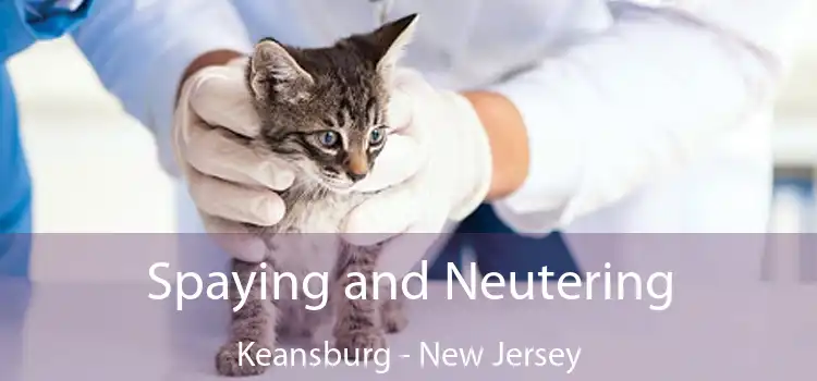 Spaying and Neutering Keansburg - New Jersey