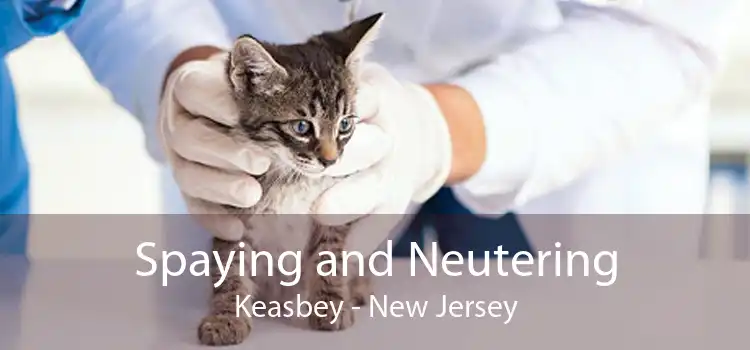 Spaying and Neutering Keasbey - New Jersey