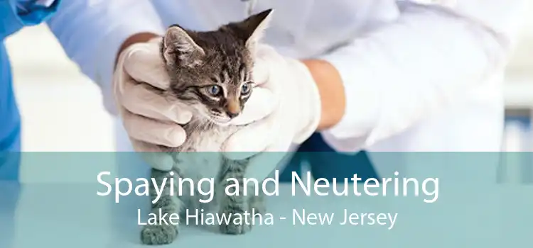 Spaying and Neutering Lake Hiawatha - New Jersey