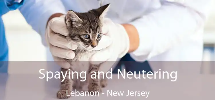 Spaying and Neutering Lebanon - New Jersey