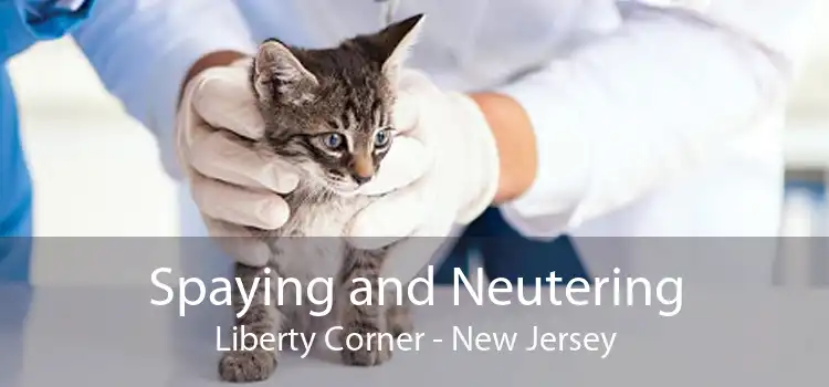 Spaying and Neutering Liberty Corner - New Jersey