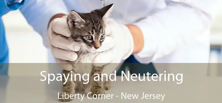 Spaying and Neutering Liberty Corner - New Jersey