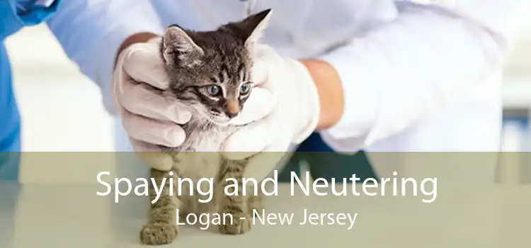 Spaying and Neutering Logan - New Jersey