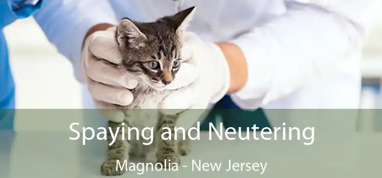 Spaying and Neutering Magnolia - New Jersey