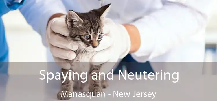 Spaying and Neutering Manasquan - New Jersey