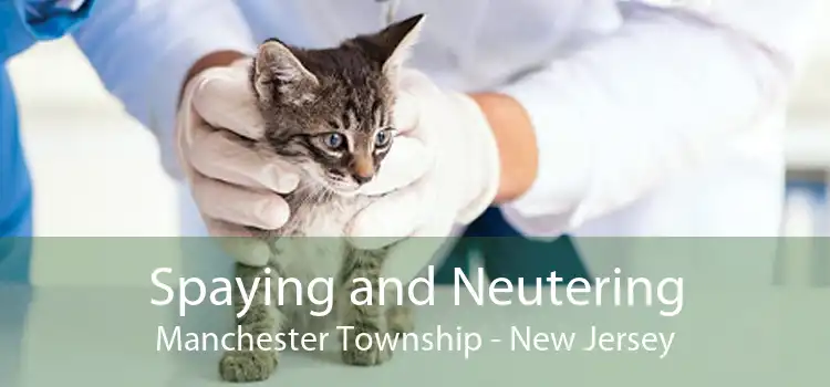 Spaying and Neutering Manchester Township - New Jersey