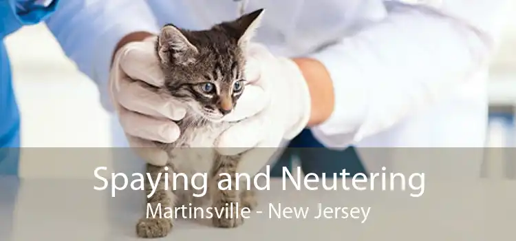 Spaying and Neutering Martinsville - New Jersey