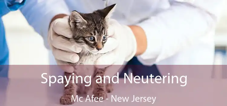 Spaying and Neutering Mc Afee - New Jersey