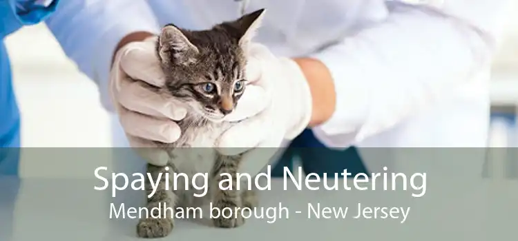 Spaying and Neutering Mendham borough - New Jersey