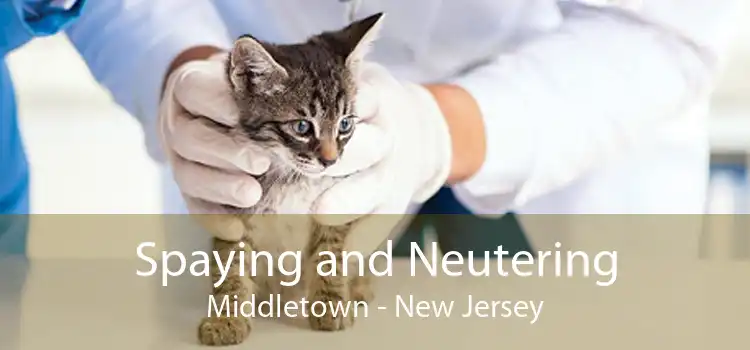 Spaying and Neutering Middletown - New Jersey