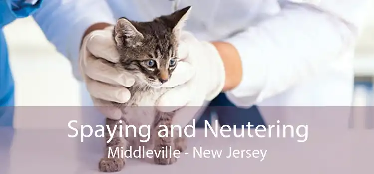 Spaying and Neutering Middleville - New Jersey