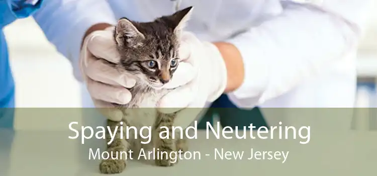 Spaying and Neutering Mount Arlington - New Jersey
