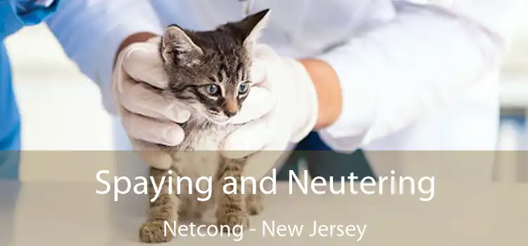 Spaying and Neutering Netcong - New Jersey