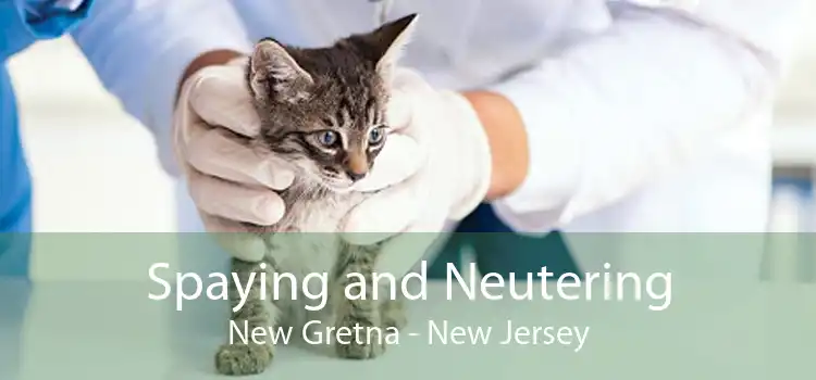 Spaying and Neutering New Gretna - New Jersey