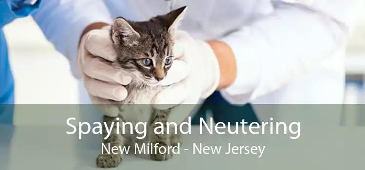 Spaying and Neutering New Milford - New Jersey