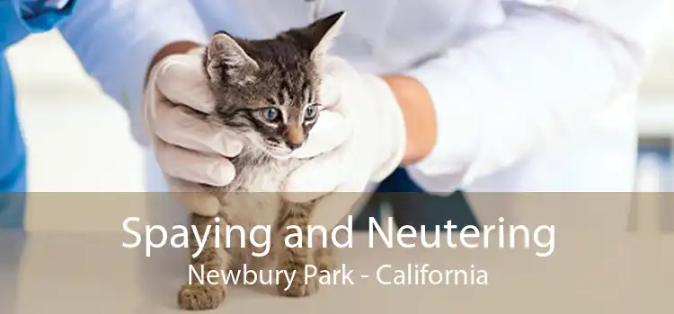 Spaying and Neutering Newbury Park - California