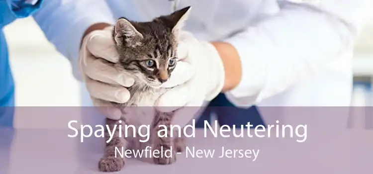 Spaying and Neutering Newfield - New Jersey