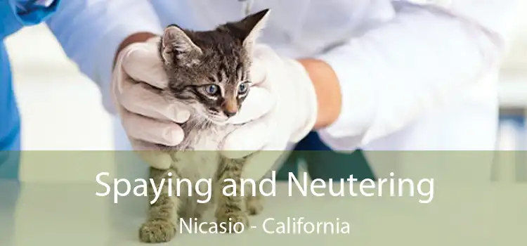 Spaying and Neutering Nicasio - California