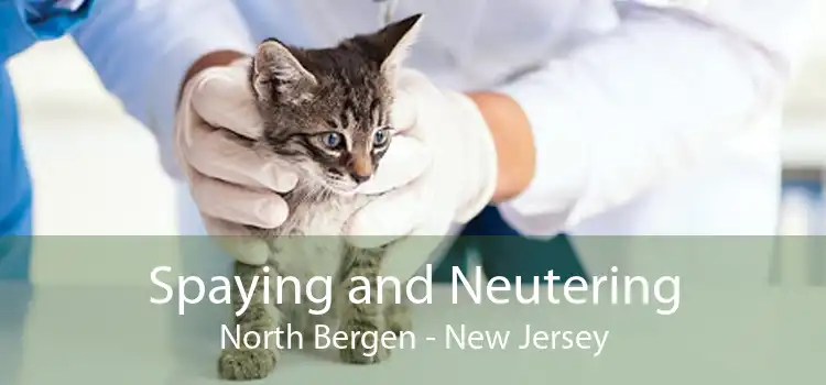 Spaying and Neutering North Bergen - New Jersey