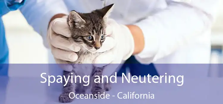 Spaying and Neutering Oceanside - California
