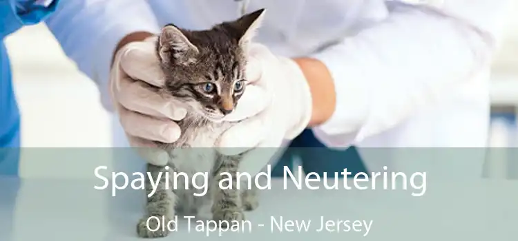 Spaying and Neutering Old Tappan - New Jersey