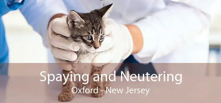 Spaying and Neutering Oxford - New Jersey