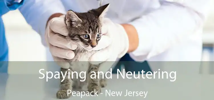 Spaying and Neutering Peapack - New Jersey