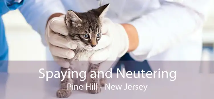 Spaying and Neutering Pine Hill - New Jersey