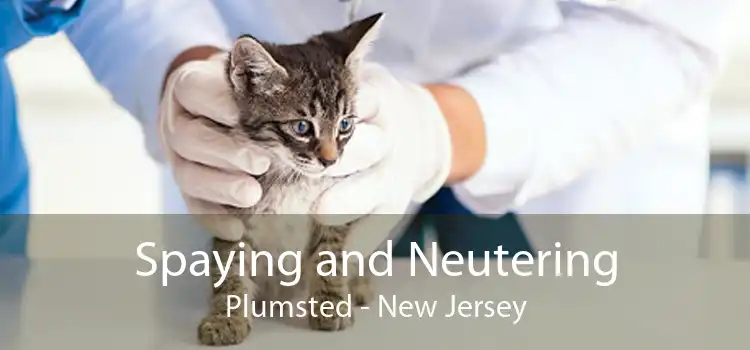 Spaying and Neutering Plumsted - New Jersey