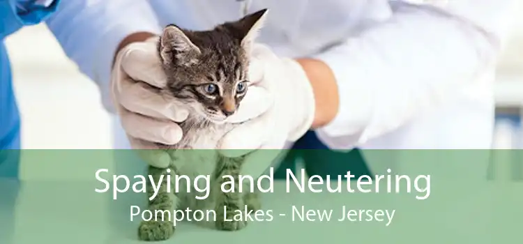Spaying and Neutering Pompton Lakes - New Jersey
