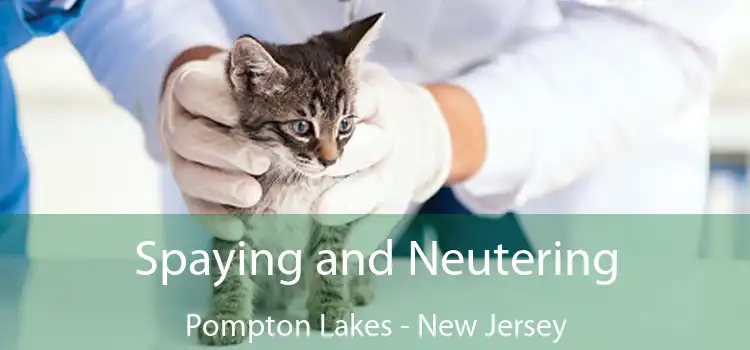 Spaying and Neutering Pompton Lakes - New Jersey