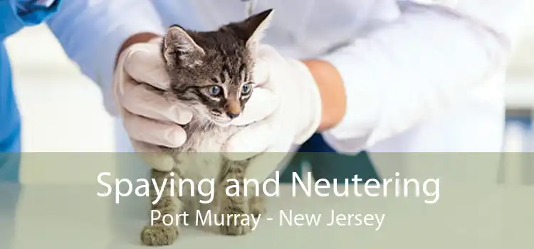Spaying and Neutering Port Murray - New Jersey