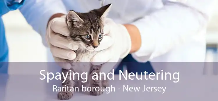 Spaying and Neutering Raritan borough - New Jersey