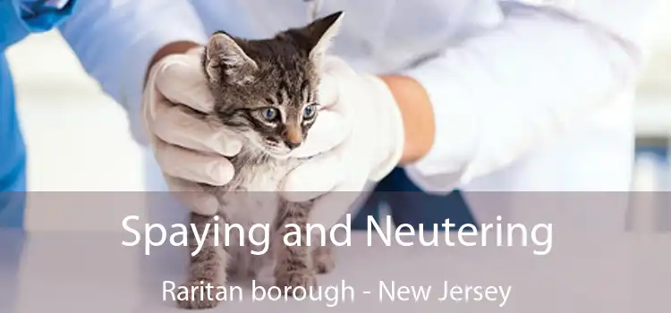 Spaying and Neutering Raritan borough - New Jersey