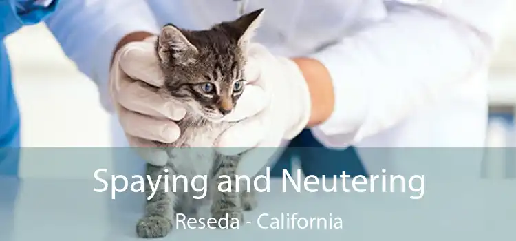 Spaying and Neutering Reseda - California