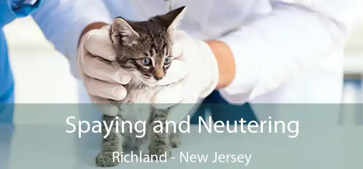 Spaying and Neutering Richland - New Jersey